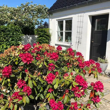 Helt - Helts *